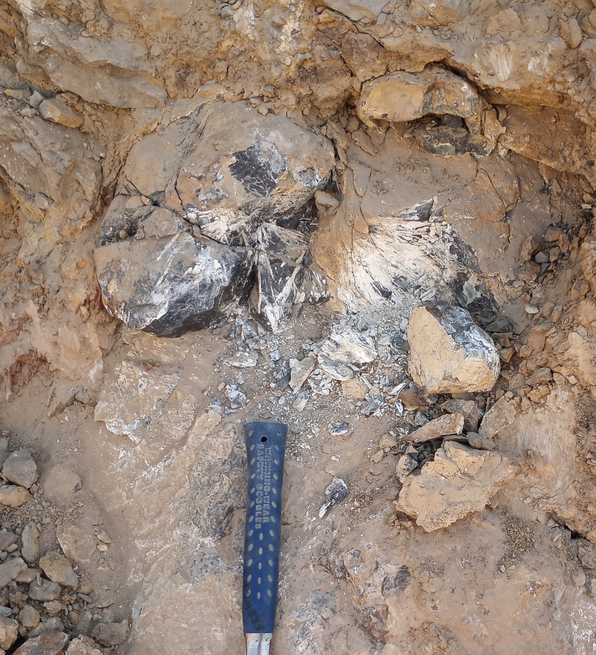 2025 09 03 Nr Image 3